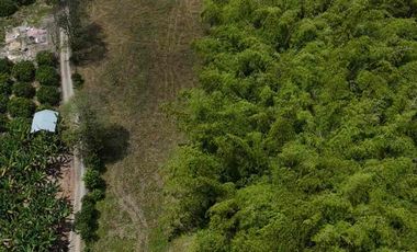 Finca en venta vía pueblo Tapao Quindío