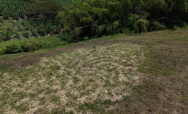 Finca en venta vía pueblo Tapao Quindío
