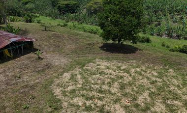 Finca en venta vía pueblo Tapao Quindío