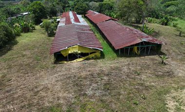 Finca en venta vía pueblo Tapao Quindío
