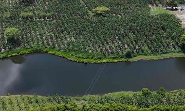 Finca en venta vía pueblo Tapao Quindío