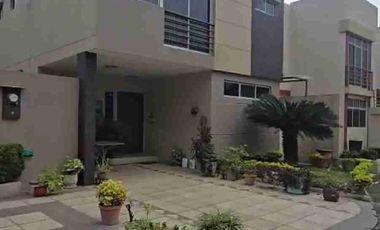 alquilo casa belohorizonte