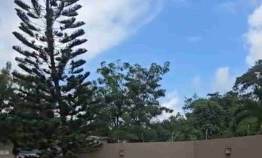 alquilo casa belohorizonte