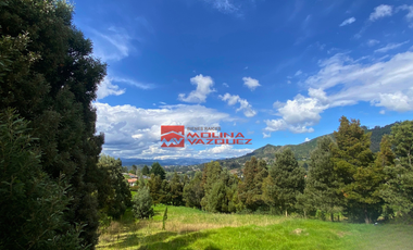 🌳✨En venta terreno amplio con 1877m2 en vía Monay Baguanchi