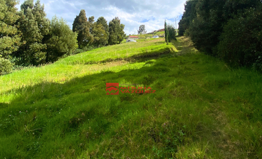 🌳✨En venta terreno amplio con 1877m2 en vía Monay Baguanchi