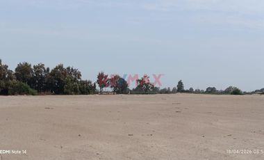 Terreno Agrícola En Venta – San Andrés, Pisco