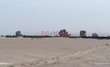 Terreno Agrícola En Venta – San Andrés, Pisco