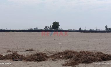 Terreno Agrícola En Venta – San Andrés, Pisco