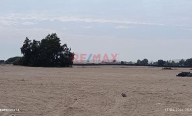 Terreno Agrícola En Venta – San Andrés, Pisco