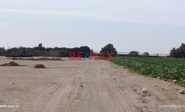 Terreno Agrícola En Venta – San Andrés, Pisco