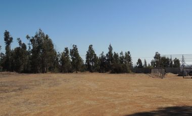 17.000 MT2 SECTOR FUERTE AGUAYO ORILLA F-528 CON LIQUIDAMBAR EN VERTICE