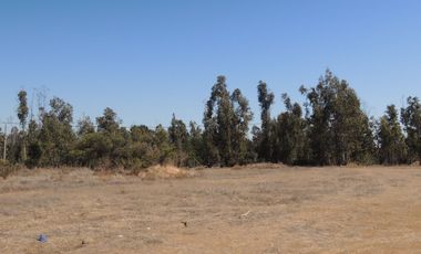 17.000 MT2 SECTOR FUERTE AGUAYO ORILLA F-528 CON LIQUIDAMBAR EN VERTICE