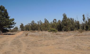 17.000 MT2 SECTOR FUERTE AGUAYO ORILLA F-528 CON LIQUIDAMBAR EN VERTICE