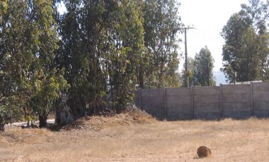 17.000 MT2 SECTOR FUERTE AGUAYO ORILLA F-528 CON LIQUIDAMBAR EN VERTICE
