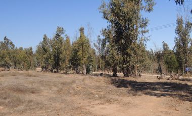 17.000 MT2 SECTOR FUERTE AGUAYO ORILLA F-528 CON LIQUIDAMBAR EN VERTICE
