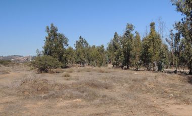 17.000 MT2 SECTOR FUERTE AGUAYO ORILLA F-528 CON LIQUIDAMBAR EN VERTICE