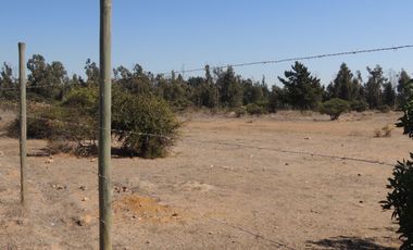 17.000 MT2 SECTOR FUERTE AGUAYO ORILLA F-528 CON LIQUIDAMBAR EN VERTICE