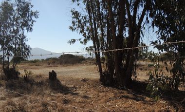 17.000 MT2 SECTOR FUERTE AGUAYO ORILLA F-528 CON LIQUIDAMBAR EN VERTICE