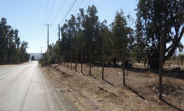 17.000 MT2 SECTOR FUERTE AGUAYO ORILLA F-528 CON LIQUIDAMBAR EN VERTICE
