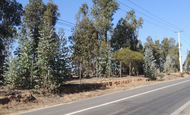 17.000 MT2 SECTOR FUERTE AGUAYO ORILLA F-528 CON LIQUIDAMBAR EN VERTICE