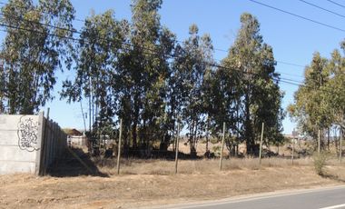 17.000 MT2 SECTOR FUERTE AGUAYO ORILLA F-528 CON LIQUIDAMBAR EN VERTICE