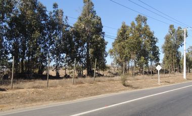 17.000 MT2 SECTOR FUERTE AGUAYO ORILLA F-528 CON LIQUIDAMBAR EN VERTICE