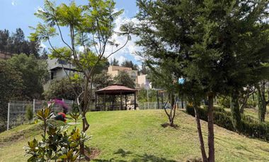 OLIVO PREVENTA GARDEN ONE LOMAS DEL RÍO