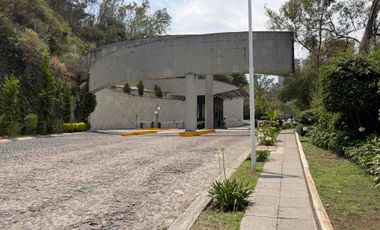 OLIVO PREVENTA GARDEN ONE LOMAS DEL RÍO
