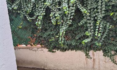 RENTA DEPARTAMENTO UDLAP RECTA A CHOULUA VISTA VICTORIA SAN ANDRES CHOLULA PUEBLA