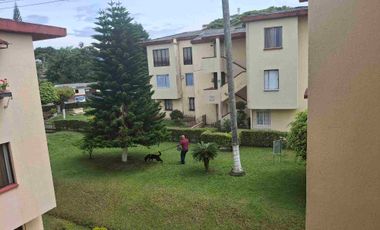 Renta apartamento