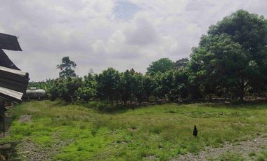 Venta de Propiedad Industrial – Centro de Acopio Agrícola