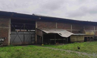Venta de Propiedad Industrial – Centro de Acopio Agrícola