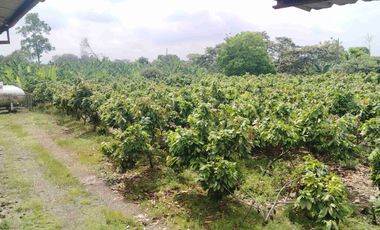 Venta de Propiedad Industrial – Centro de Acopio Agrícola