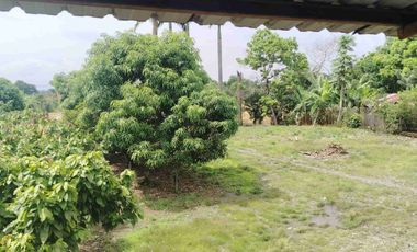 Venta de Propiedad Industrial – Centro de Acopio Agrícola