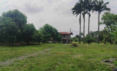 Venta de Propiedad Industrial – Centro de Acopio Agrícola