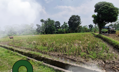 Tanah dijual di Tridadi, Sleman, Sleman, Daerah Istimewa Yogyakarta