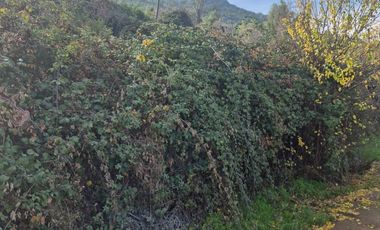 $65.000.000 - Oportunidad de Inversión en Coya - Machalí