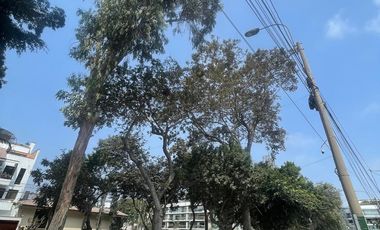 ¿Buscas el departamento ideal en Chacarilla del Estanque?