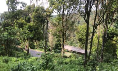 Di Jual Murah Tanah Pinggir jln Provinsi