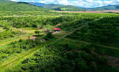 Venta lote de campo en tarapoto