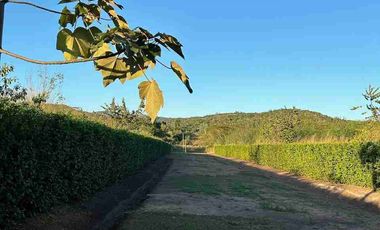 Venta lote de campo en tarapoto