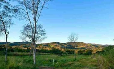 Venta lote de campo en tarapoto