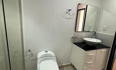 Exclusividad y Estilo en Polanco: Departamento Iluminado en Calle Arquímedes