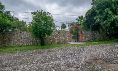 Casa King