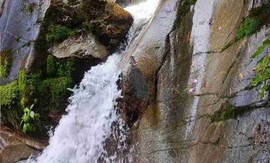 Se vende 75 Hectáreas en el sector de brilla sol Intag Cotacachi Imbabura Ecuador