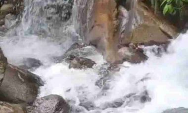 Se vende 75 Hectáreas en el sector de brilla sol Intag Cotacachi Imbabura Ecuador