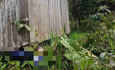 Se vende 75 Hectáreas en el sector de brilla sol Intag Cotacachi Imbabura Ecuador