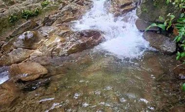 Se vende 75 Hectáreas en el sector de brilla sol Intag Cotacachi Imbabura Ecuador