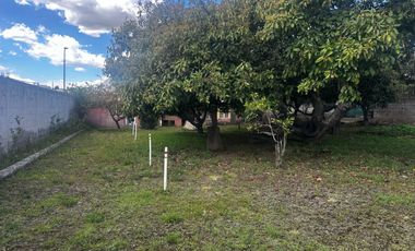 🏡✨ OPORTUNIDAD DE INVERSIÓN EN TUMBACO – SECTOR LA MORITA ✨🏡