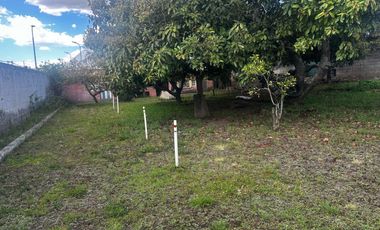 🏡✨ OPORTUNIDAD DE INVERSIÓN EN TUMBACO – SECTOR LA MORITA ✨🏡